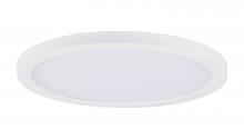  57694WTWT - Chip-Flush Mount