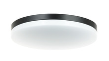  M12002BK - "Orion" 14" LED Flushmount - Black