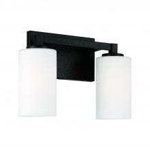  119821BI-545 - 2 Light Vanity