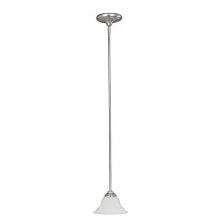  3070MN-222 - 1 Light Pendant