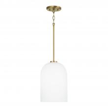  348811AD - 1 Light Pendant