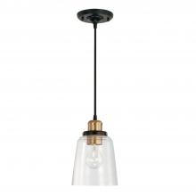 Capital Canada 3718AB-135 - Fallon Mini Pendant - Aged Brass w/ Clear Glass