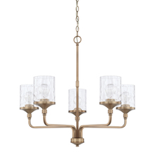 Capital Canada 428851AD-451 - 5 Light Chandelier