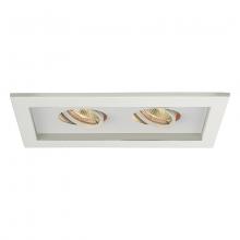 WAC Canada MT-216-WT/WT - Low Voltage Multiple Two Light Trim