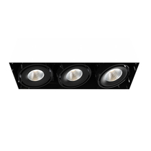  TE613LED-30-4-01 - MuLT, 15w, Trmls, 3LT , 30k, Blk