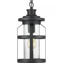  P550031-031 - P550031-031 1-100W MED HANGING LANTERN