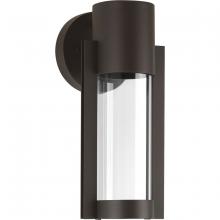  P560051-020-30 - P560051-020-30 1-9W LED WALL LANTERN