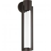  P560056-020-30 - P560056-020-30 1-9W LED WALL LANTERN