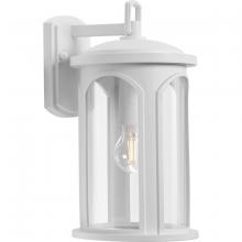  P560088-028 - P560088-028 1-100W MED WALL LANTERN