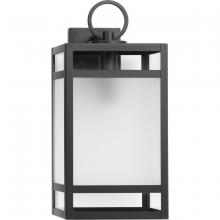 Progress P560343-31M - P560343-31M 1-L WALL LANTERN