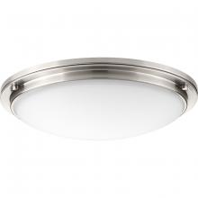  P350071-009-30 - P350071-009-30 1-45W LED FLUSH MOUNT