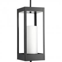  P550024-031 - P550024-031 1-100W MED HANGING LANTERN