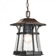  P5579-84 - P5579-84 1-100W MED HANGING LANTERN