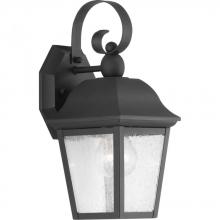  P560010-031 - P560010-031 1-100W MED WALL LANTERN