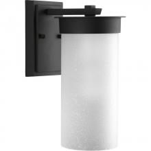  P5625-31 - P5625-31 1-100W MED WALL LANTERN