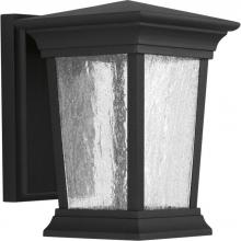 Progress P6067-3130K9 - P6067-3130K9 1-9W  LED WALL LANTERN