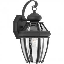  P6610-31 - P6610-31 1-100W MED WALLLANTERN