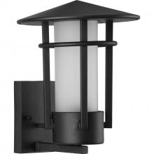  P560273-031 - P560273-031 1-100W MED WALL LANTERN