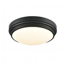  DVP33038EB-5CCT - Algoma 13" LED Flush Mount