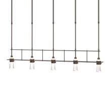 Hubbardton Forge - Canada 137725-SKT-SHRT-05-ZM0343 - Erlenmeyer 5 Light Pendant