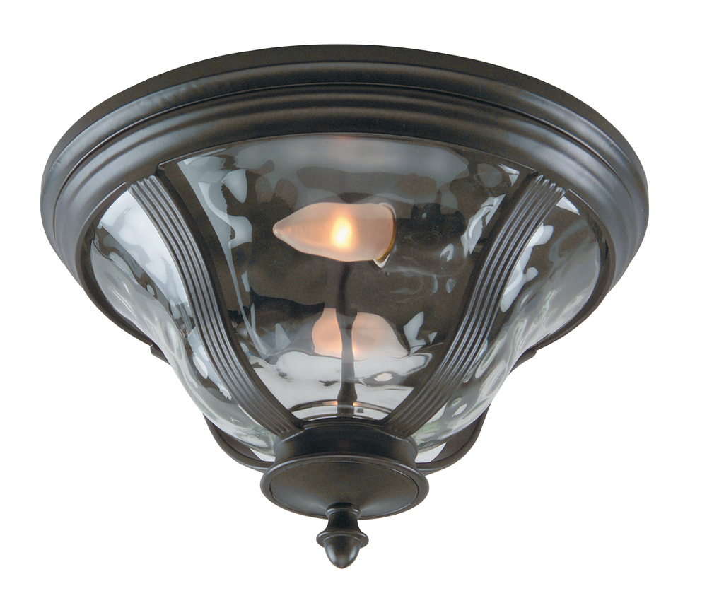 Frances 2 Light Outdoor Flushmount in Oiled Bronze Outdoor